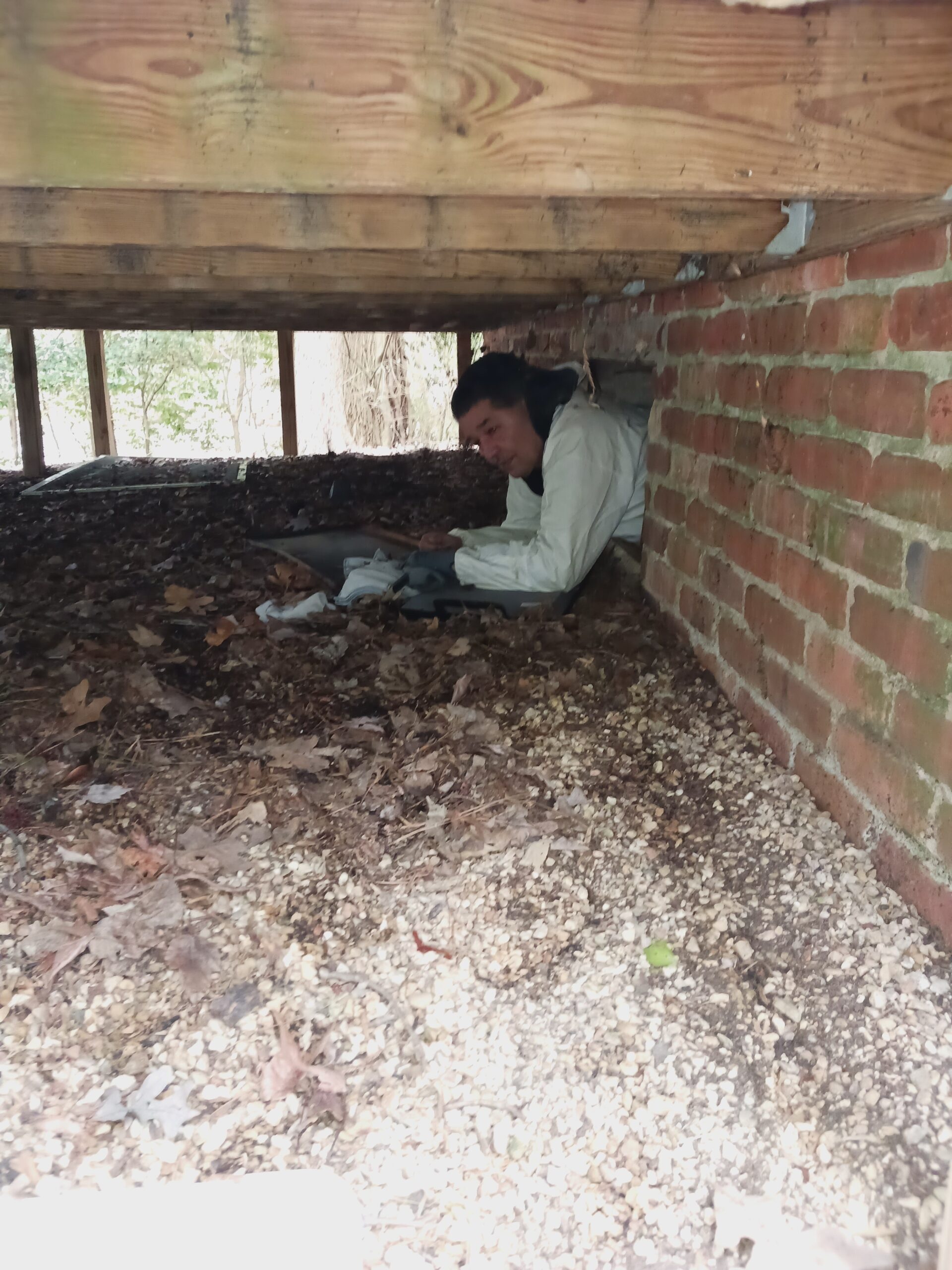 Crawl Space