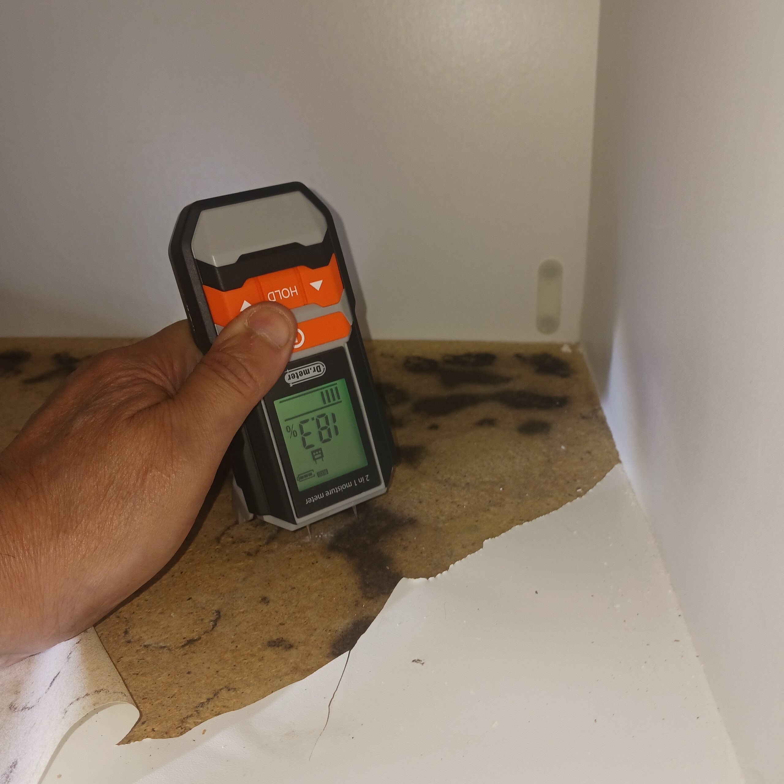 Mold Testing   1